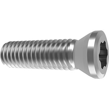Parafusos de fixação Torx-Plus Parafusos de fixação Torx-Plus