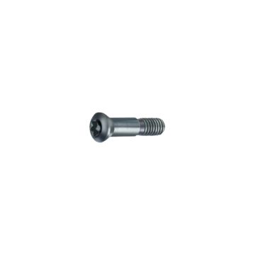 Parafusos de fixação Torx Parafusos de fixação Torx