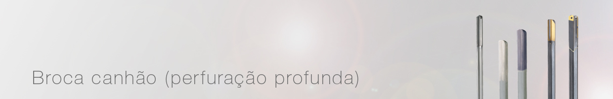 Broca canhão (perfuração profunda)
